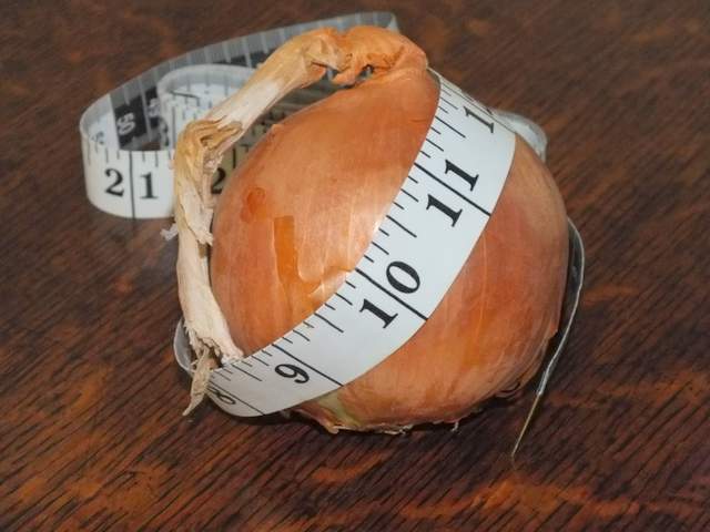 A brown onion and a sewing tape measure